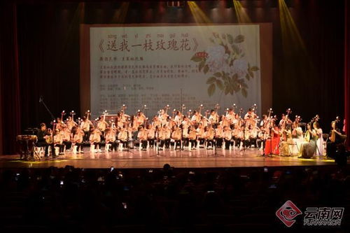 「彩云花韻」首屆琵琶文化藝術(shù)周圓滿落幕 弦音繞梁，經(jīng)典永續(xù)
